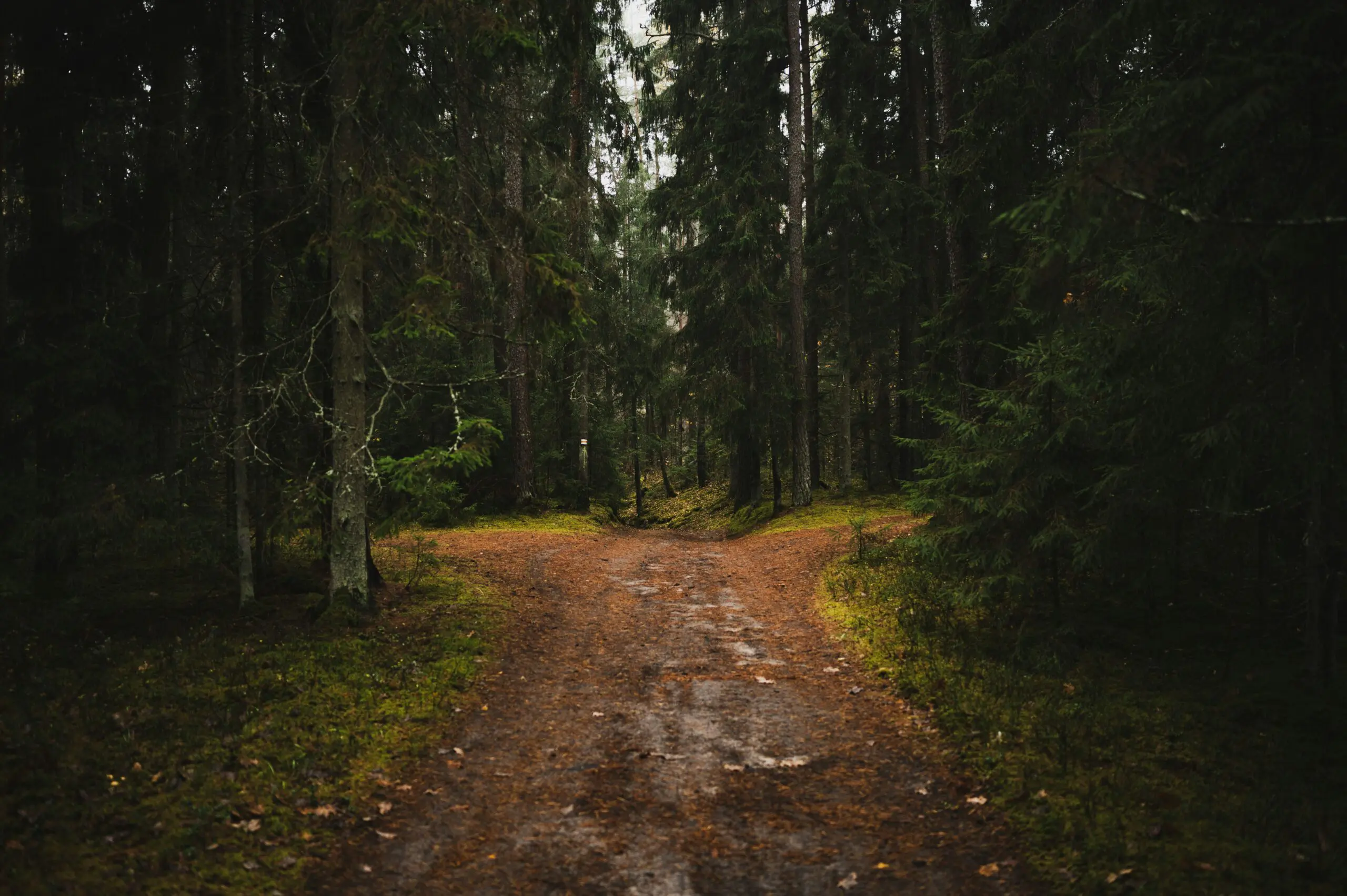 Lebensumbrüche und Entscheidungen im Coaching