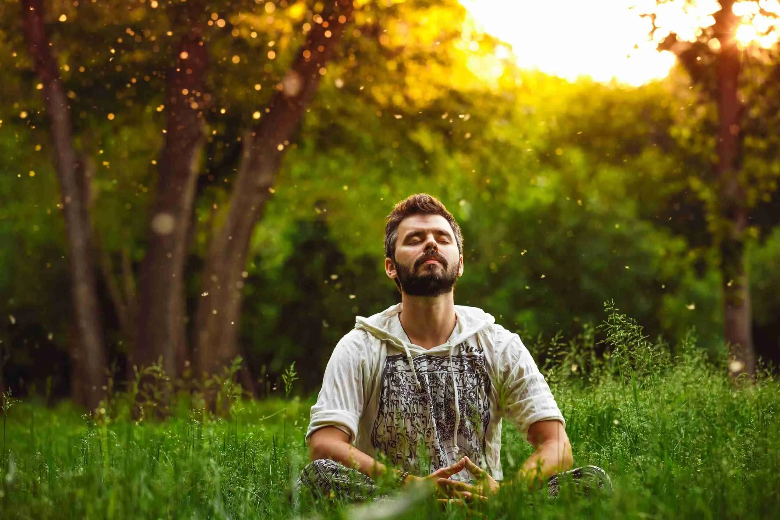 ABeardedManIsMeditatingOnGreenGrassInThe Ein Mann der durch Coaching zufrieden ist.