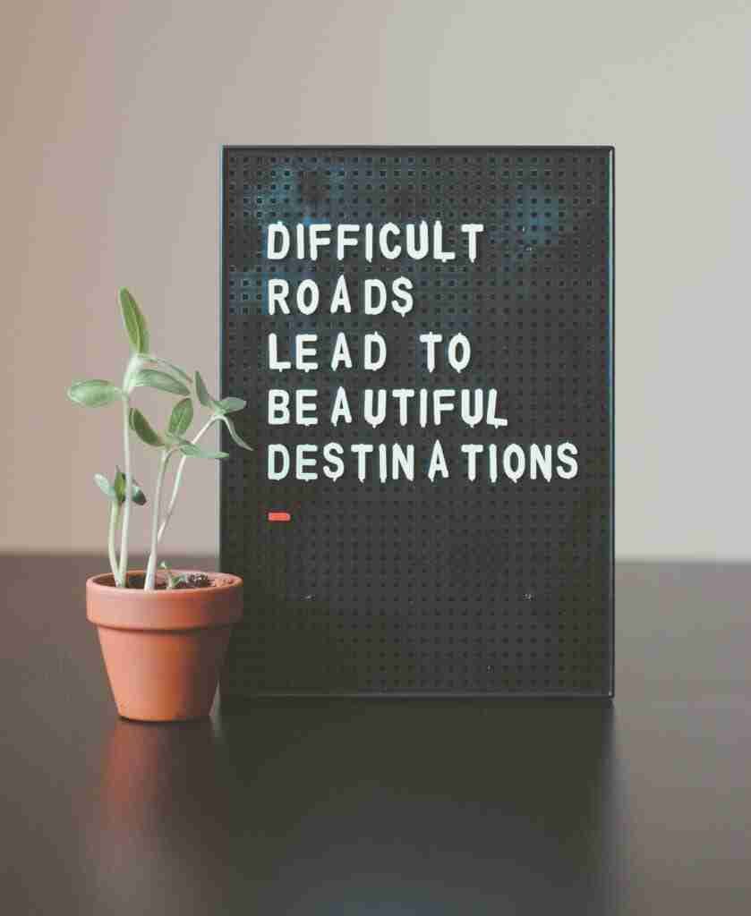 nik-z1d-LP8sjuI-unsplash | Professionelles Coaching in Düsseldorf – Bobach Coaching & Consulting