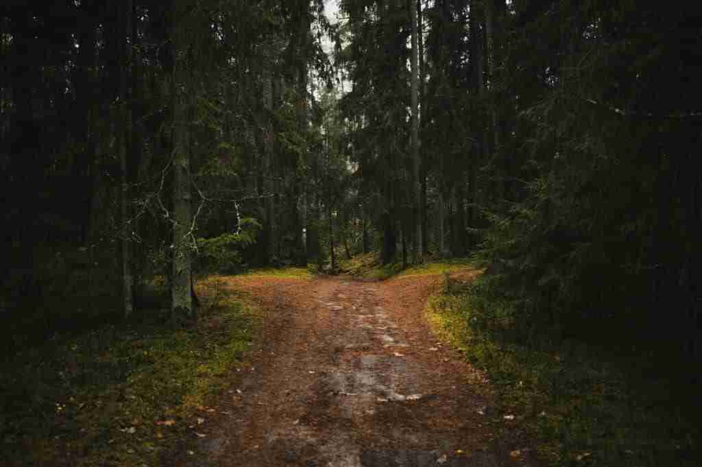 Symbolbild für Entscheidungen