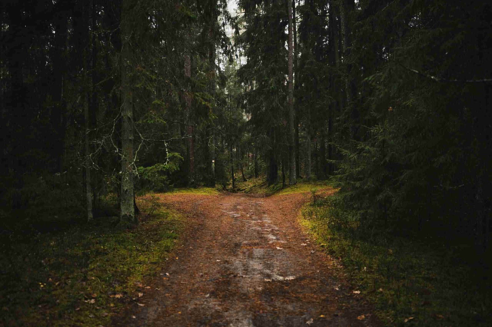 Lebensumbrüche und Entscheidungen im Coaching