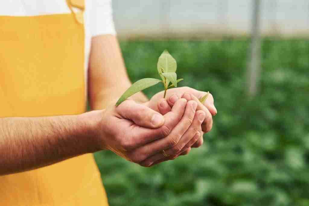 Berufliche Veränderung: Wann sollten Sie den Neuanfang wagen?