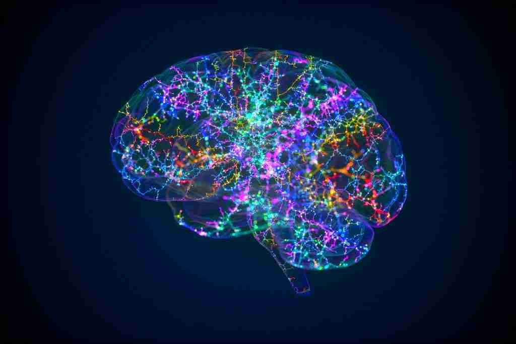 getty-images-5Zu4gaFCA5w-unsplash | Professionelles Coaching in Düsseldorf – Bobach Coaching & Consulting Colorful illuminated brain silhouette showing neural networks and connections against a dark background.