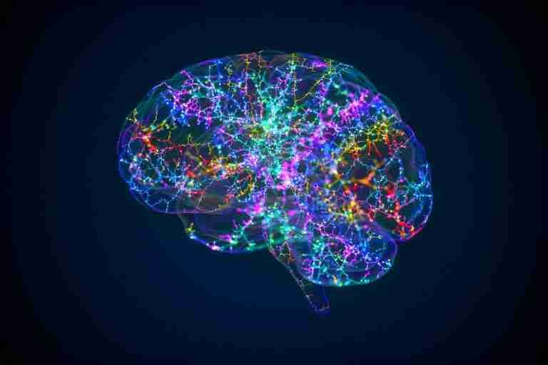 Colorful illuminated brain silhouette showing neural networks and connections against a dark background.