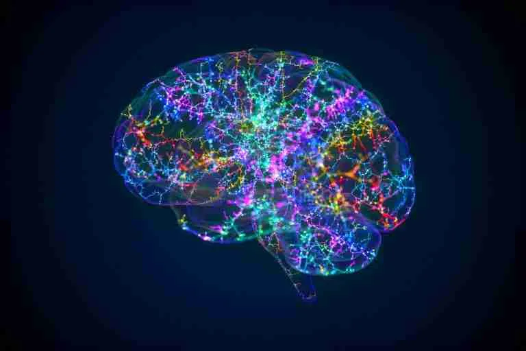 Colorful illuminated brain silhouette showing neural networks and connections against a dark background.