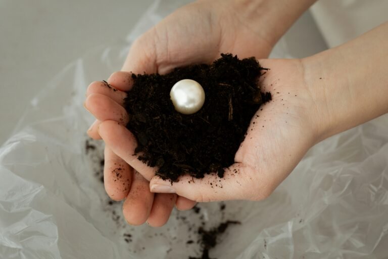 karolina-grabowska-gxIiDC8p2fE-unsplash | Professionelles Coaching in Düsseldorf – Bobach Coaching & Consulting Hands cupping dark soil around a smooth white pearl-like object.